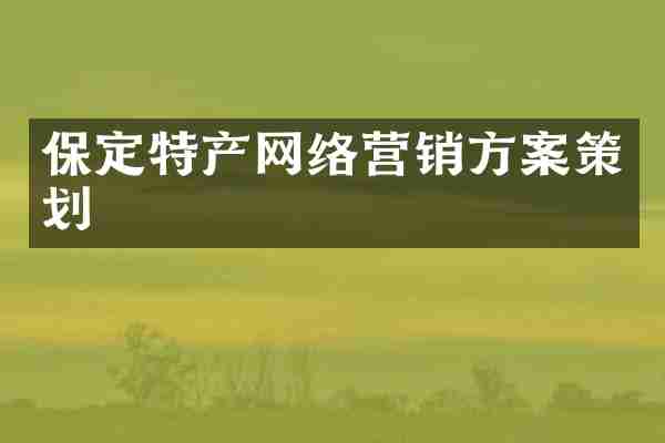保定特产网络营销方案策划