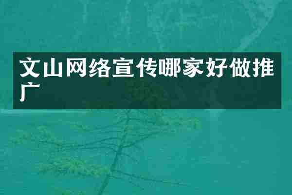 文山网络宣传哪家好做推广