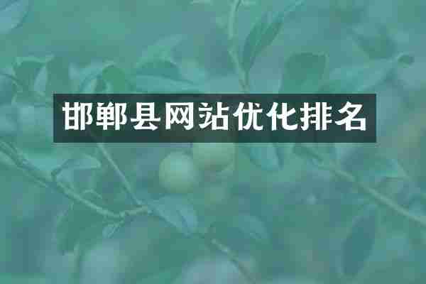 邯郸县网站优化排名