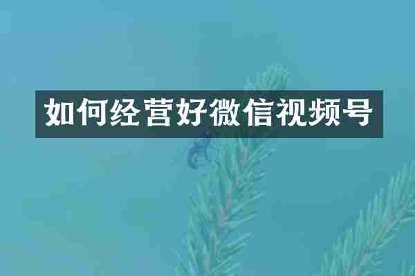 如何经营好微信视频号