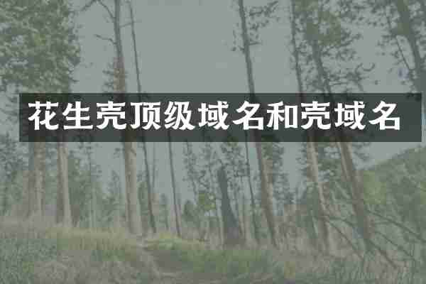 花生壳顶级域名和壳域名