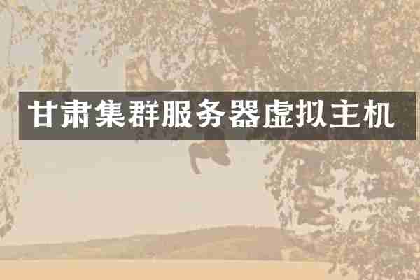 甘肃集群服务器虚拟主机