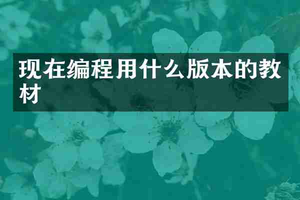 现在编程用什么版本的教材