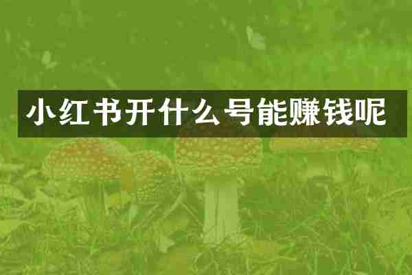 小红书开什么号能赚钱呢
