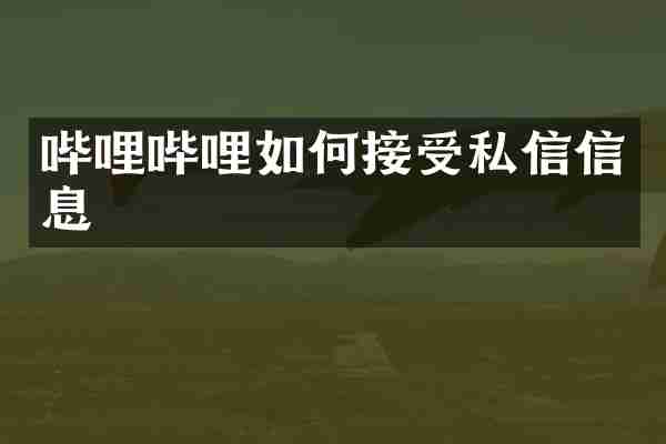 哔哩哔哩如何接受私信信息