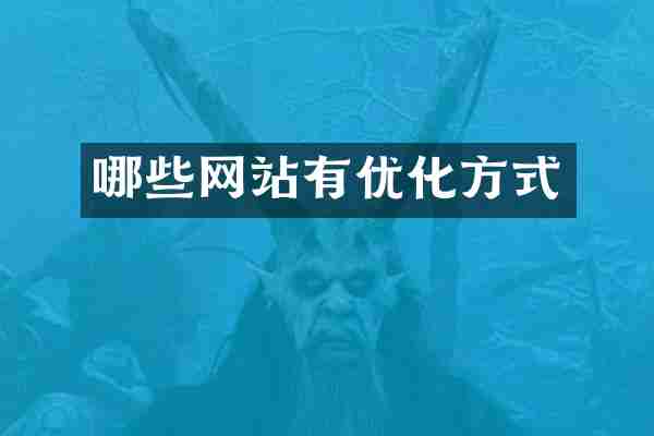 哪些网站有优化方式