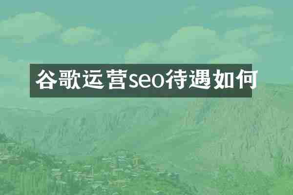 谷歌运营seo待遇如何
