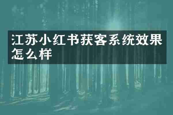 江苏小红书获客系统效果怎么样