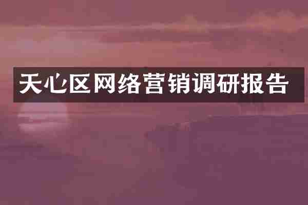 天心区网络营销调研报告
