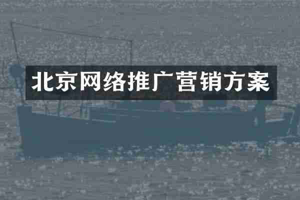 北京网络推广营销方案