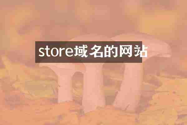 store域名的网站