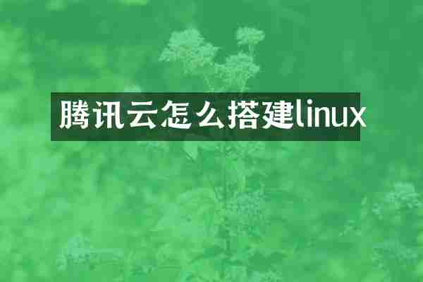 腾讯云怎么搭建linux