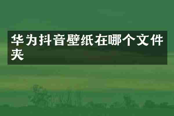 华为抖音壁纸在哪个文件夹