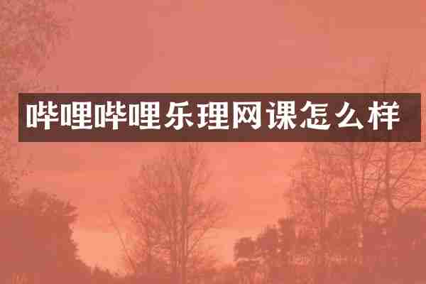 哔哩哔哩乐理网课怎么样