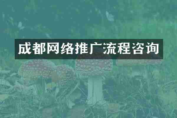 成都网络推广流程咨询