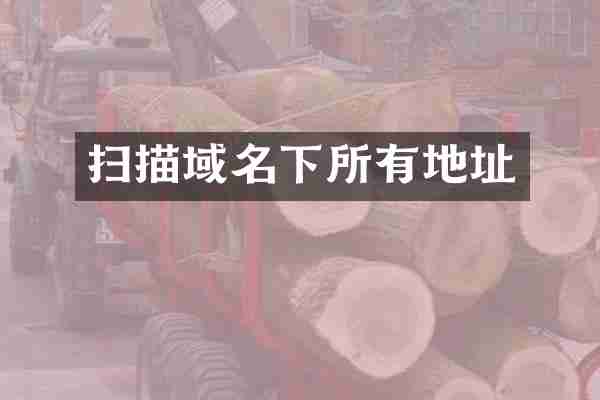 扫描域名下所有地址
