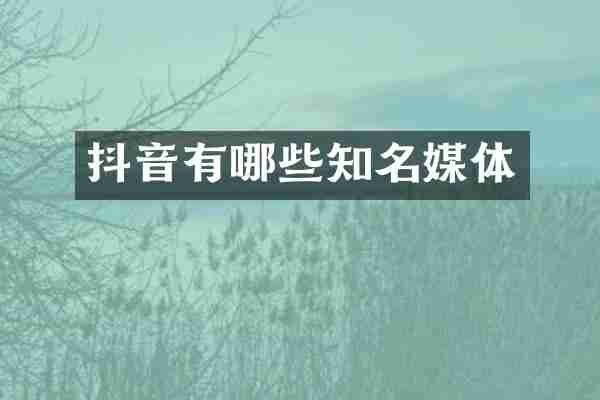 抖音有哪些知名媒体