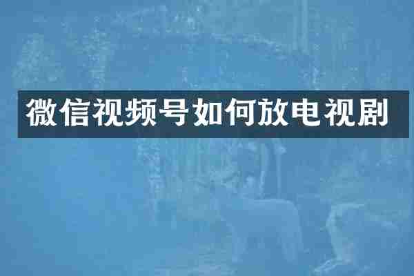微信视频号如何放电视剧