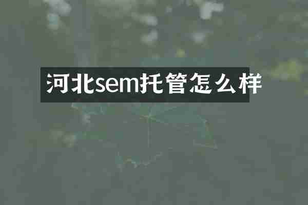 河北sem托管怎么样