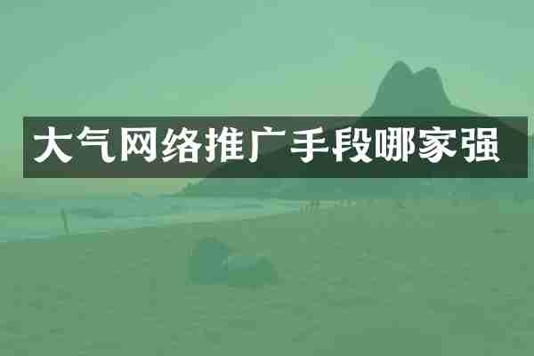 大气网络推广手段哪家强