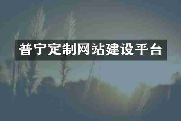 普宁定制网站建设平台