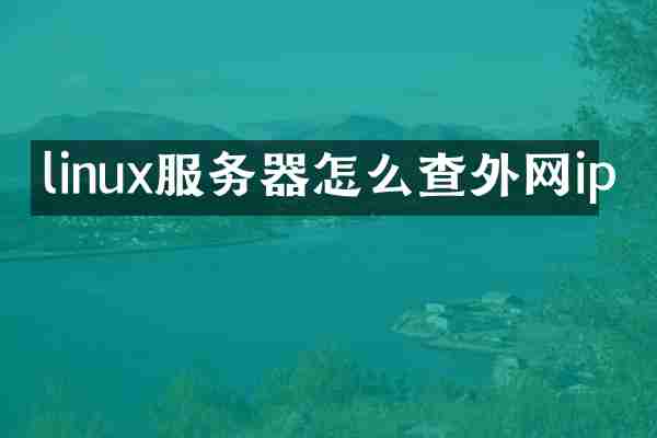 linux服务器怎么查外网ip