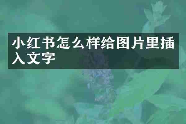 小红书怎么样给图片里插入文字