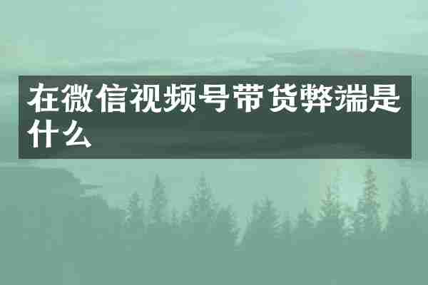 在微信视频号带货弊端是什么