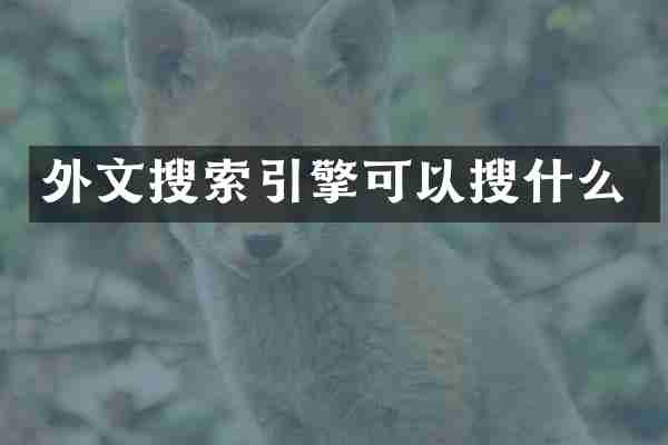 外文搜索引擎可以搜什么