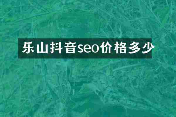 乐山抖音seo价格多少