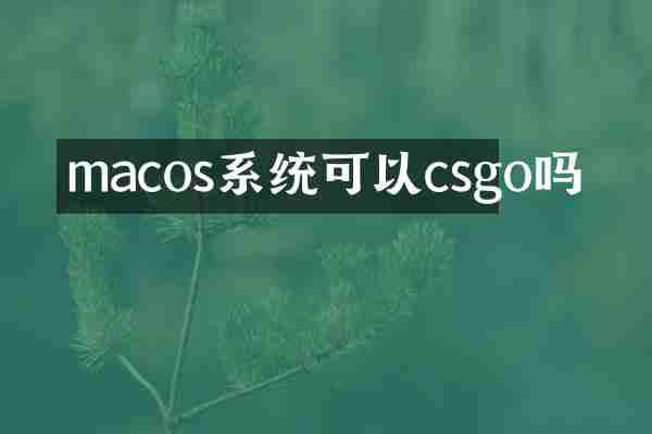 macos系统可以csgo吗