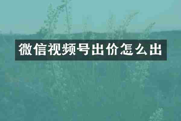 微信视频号出价怎么出