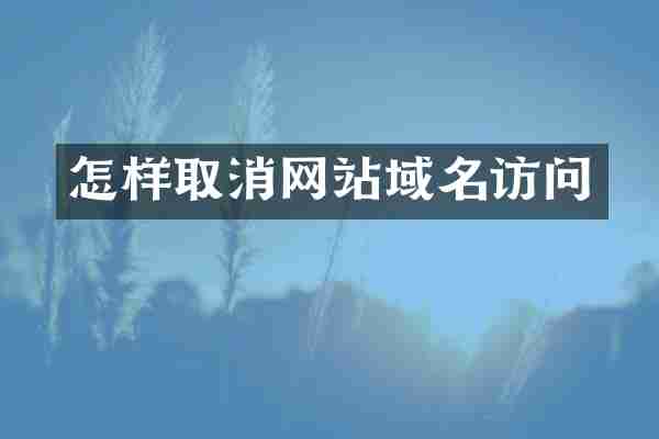 怎样取消网站域名访问