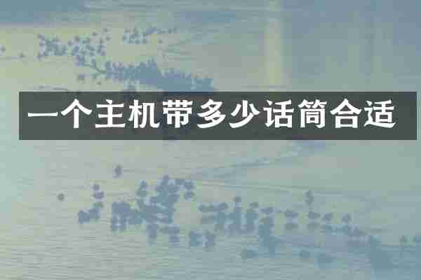 一个主机带多少话筒合适