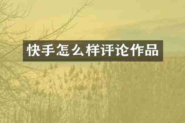 快手怎么样评论作品