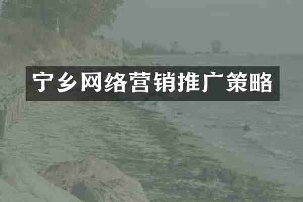 宁乡网络营销推广策略