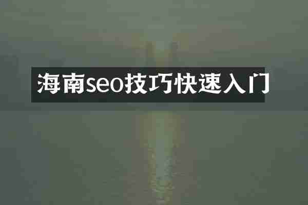 海南seo技巧快速入门