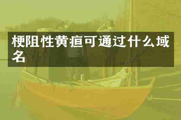 梗阻性黄疸可通过什么域名
