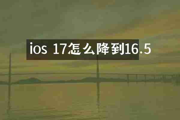 ios 17怎么降到16.5