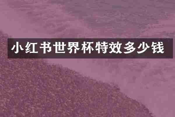 小红书世界杯特效多少钱