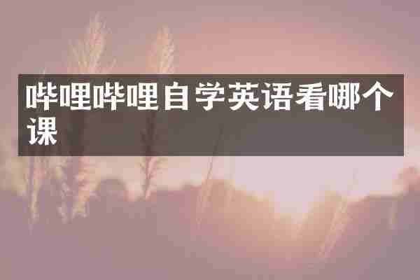 哔哩哔哩自学英语看哪个课