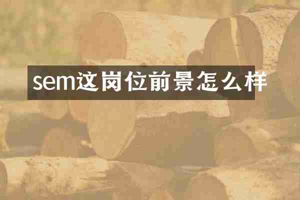 sem这岗位前景怎么样