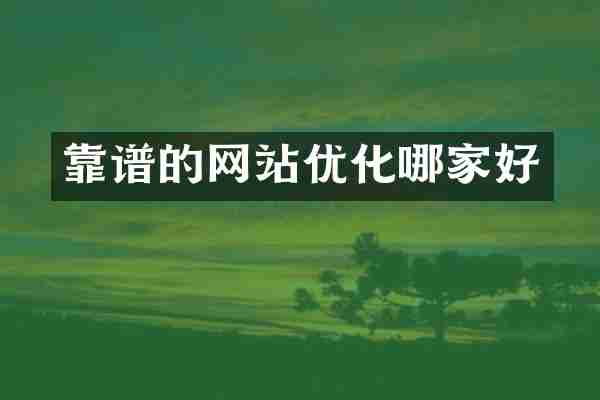 靠谱的网站优化哪家好