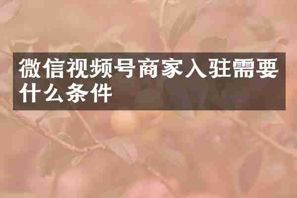 微信视频号商家入驻需要什么条件