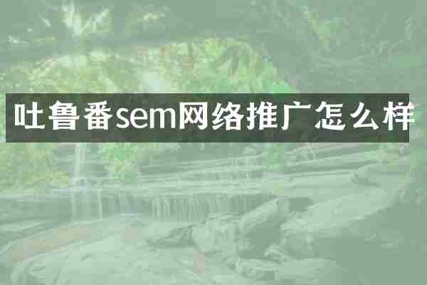 吐鲁番sem网络推广怎么样