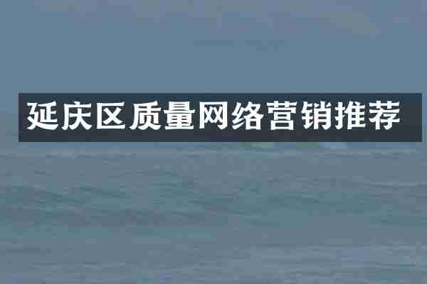 延庆区质量网络营销推荐