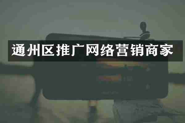 通州区推广网络营销商家