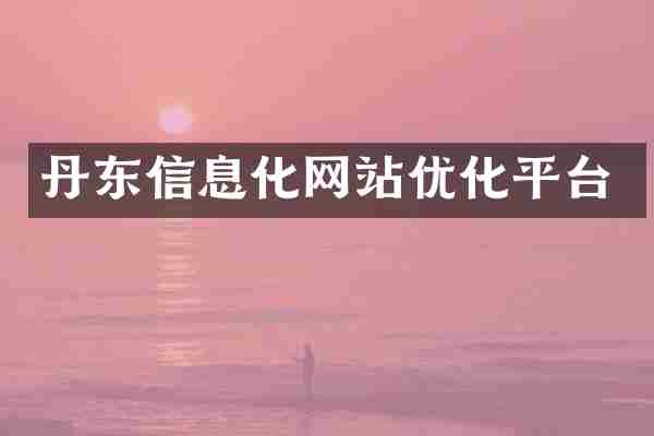 丹东信息化网站优化平台