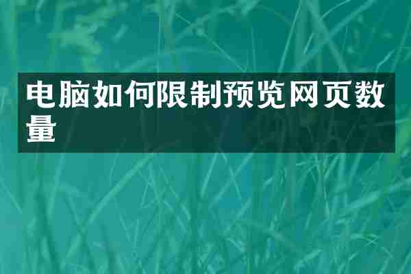 电脑如何限制预览网页数量