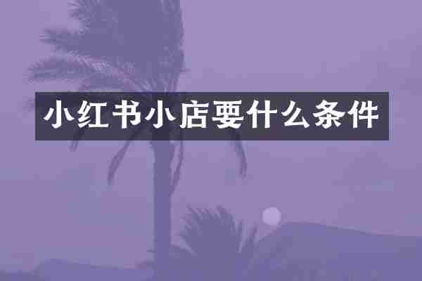 小红书小店要什么条件